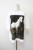 画像1: ANNTIAN（アンティアン） classic T-shirt white horse (1)