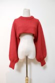 画像1: YuumiAria（ユウミアリア）SHORT KNIT  red (ギャラハモ限定バージョン） (1)