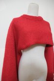 画像3: YuumiAria（ユウミアリア）SHORT KNIT  red (ギャラハモ限定バージョン） (3)