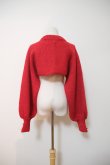 画像4: YuumiAria（ユウミアリア）SHORT KNIT  red (ギャラハモ限定バージョン） (4)